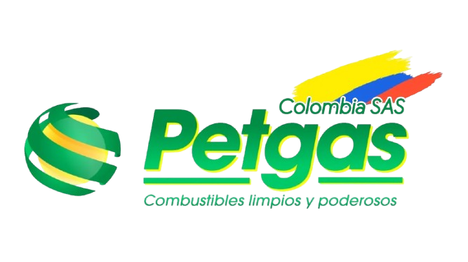 PETGAS Logo